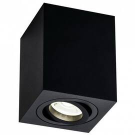 Потолочный светильник Maytoni Alfa C017CL-01B