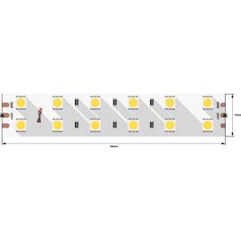 Светодиодная лента DesignLed DSG5120-24-W+WW-33 000515
