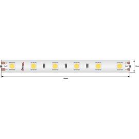 Светодиодная лента DesignLed DSG560-24-NW-65 002378