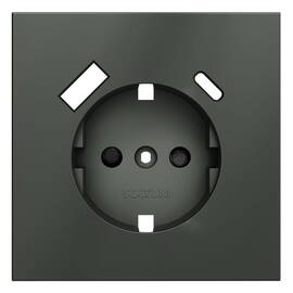 Накладка для розетки с заземлением и защитными шторками, с USB A+C Voltum S70 (титан) VLS001006