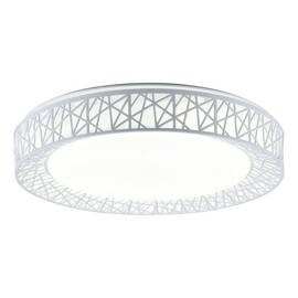 Потолочный светодиодный светильник Toplight Diana TL1204X-72WH