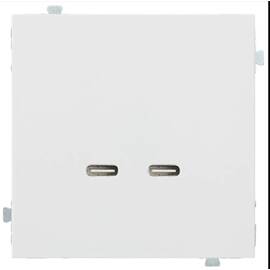 Механизм USB-зарядного устройства С/C, 60 Вт Rikett (32382)