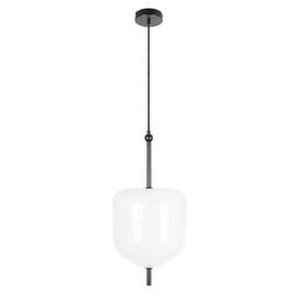 Подвесной светодиодный светильник Loft IT Venice 10223/D White