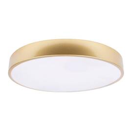 Потолочный светодиодный светильник Loft IT Flims 10228/A