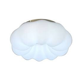 Потолочный светодиодный светильник Zortes Soft ZRS.1118.2