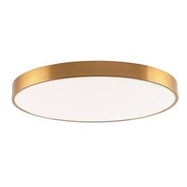 Потолочный светодиодный светильник Zortes Tortty ZRS.02566.96