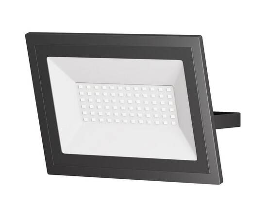 Прожектор светодиодный Maytoni Flood 50W 6500K FL001-L50B6K