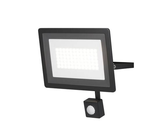 Прожектор светодиодный Maytoni Flood 50W 6500K FL001-L50B6KSR