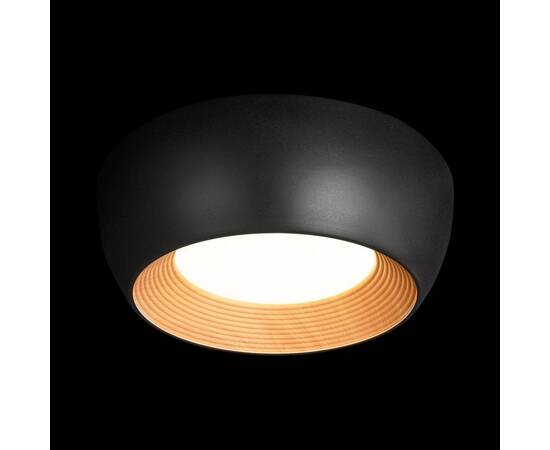 Потолочный светильник Loft IT Folk 10255/350 Black, изображение 6
