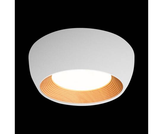 Потолочный светильник Loft IT Folk 10255/350 White, изображение 6