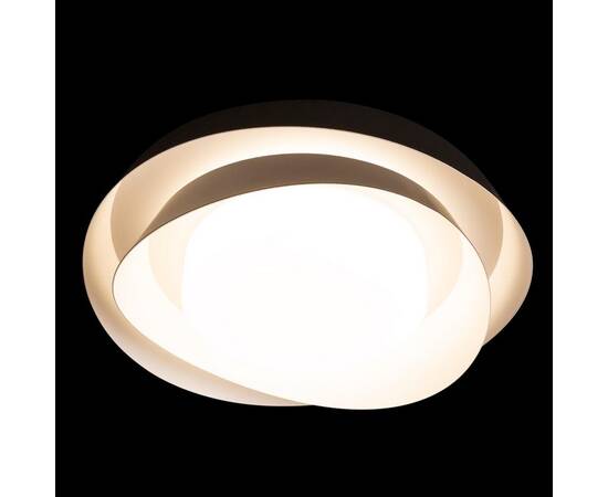 Потолочный светильник Loft IT Petale 10256 Black, изображение 4