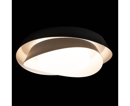 Потолочный светильник Loft IT Petale 10256 Black, изображение 6