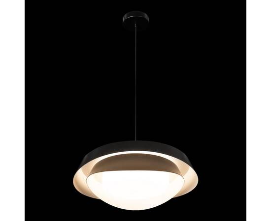 Подвесная люстра Loft IT Petale 10256P Black, изображение 6