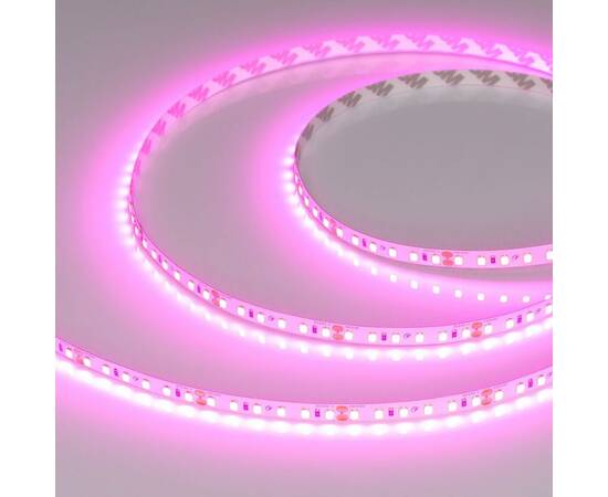 Светодиодная лента Arlight 6W/m 120Led/m 2835SMD пурпурно-розовый 5M RT-A120-8mm 24V Magenta 043381