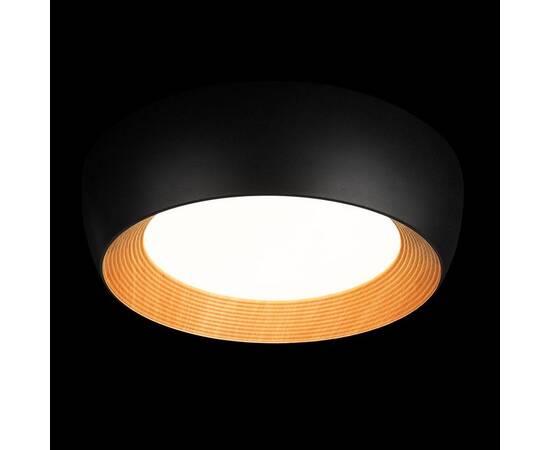 Потолочный светильник Loft IT Folk 10255/500 Black, изображение 6