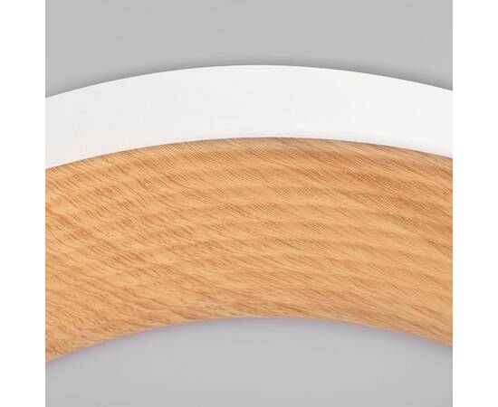 Потолочный светильник Loft IT Folk 10255/500 White, изображение 4