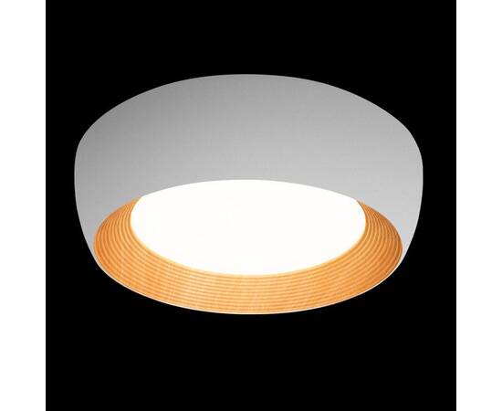 Потолочный светильник Loft IT Folk 10255/500 White, изображение 6