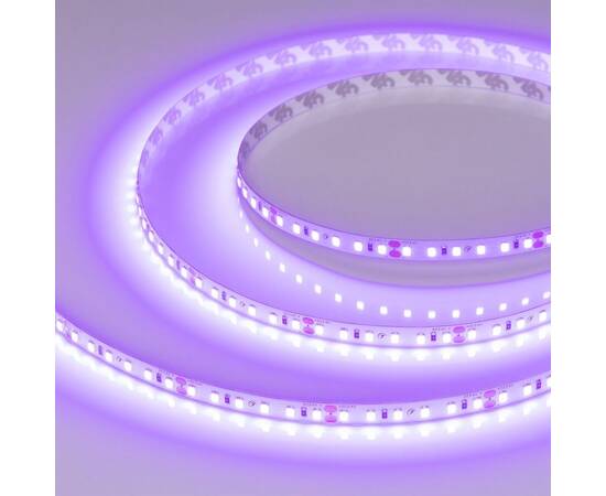 Светодиодная лента Arlight 6W/m 120Led/m 2835SMD фиолетовый 5M RT-A120-8mm 24V Violet 043384
