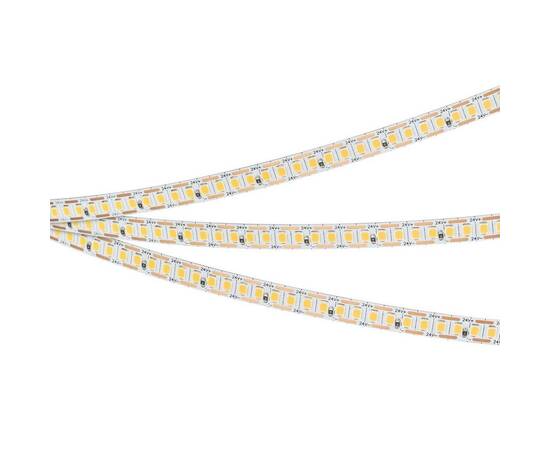 Светодиодная лента Arlight 6W/m 200Led/m 2835SMD дневной белый 5M RT-A200-8mm 24V Day4000-CX1 046939, изображение 3