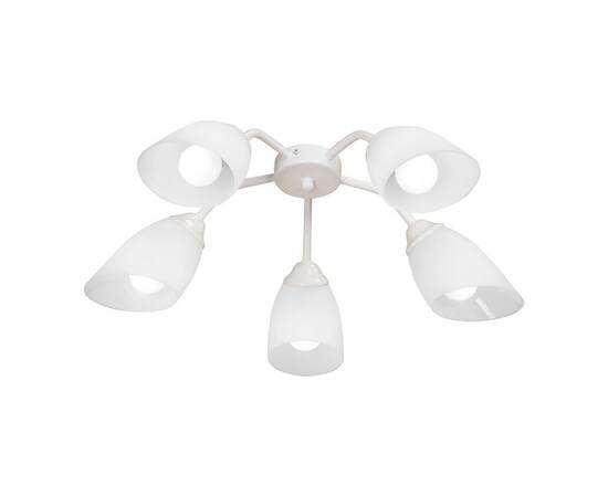 Потолочная люстра Vitaluce V31950/5PL