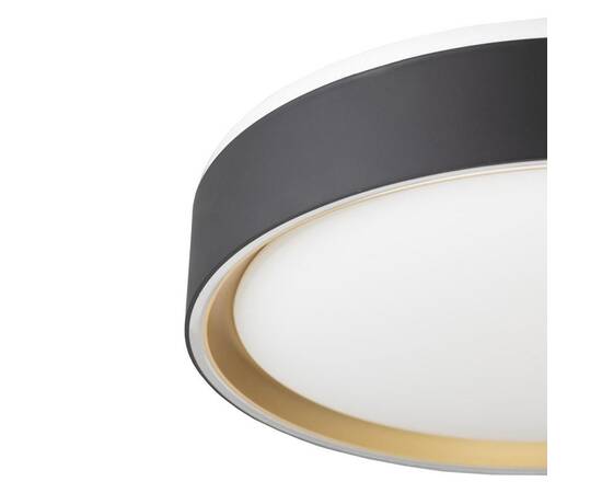 Потолочный светодиодный светильник Citilux Boss CL751251G, изображение 3