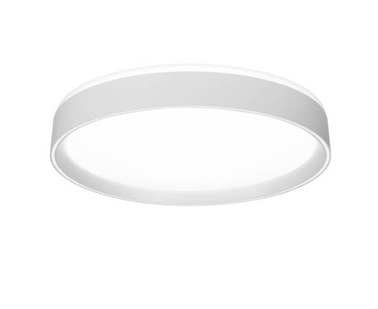 Потолочный светодиодный светильник Citilux Boss CL751350G