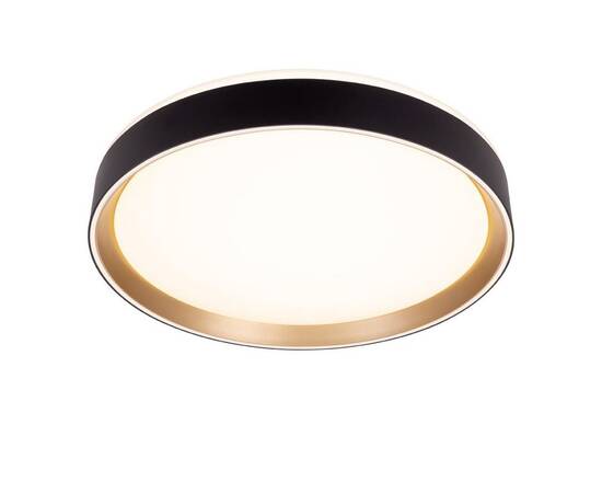 Потолочный светодиодный светильник Citilux Boss CL751351G