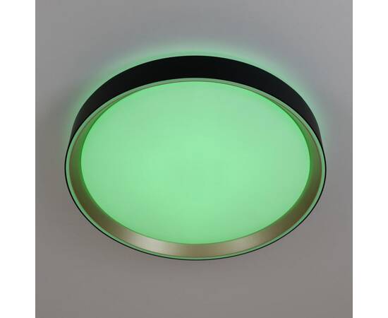 Потолочный светодиодный светильник Citilux Boss CL751351G, изображение 11