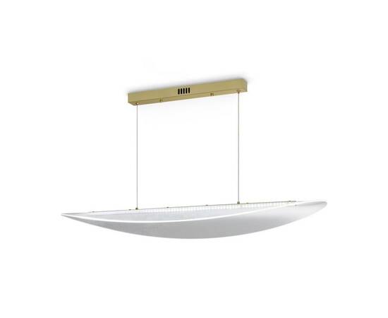 Подвесной светодиодный светильник Freya Cloud FR5441PL-L40G