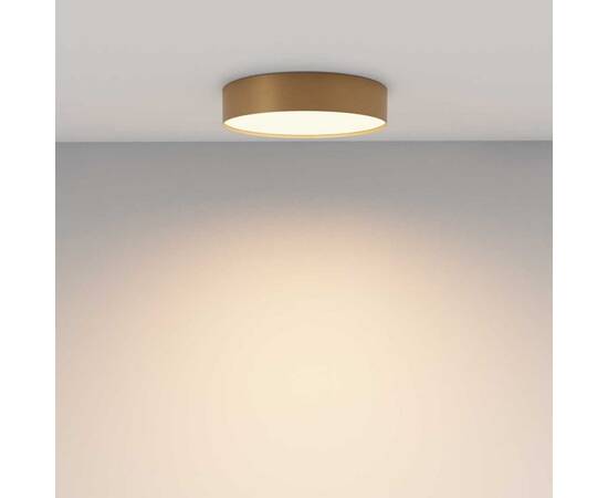 Потолочный светодиодный светильник Maytoni Zon C032CL-36W3K-RD-MG, изображение 6
