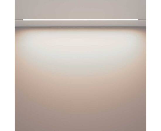 Трековый светодиодный светильник Maytoni Technical Magnetic Exility Basis TR030-4-30WTW-DD-W, изображение 4