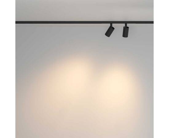 Трековый светильник Maytoni Technical TR176-1-2X5WTW-M-B, изображение 3