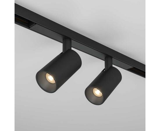 Трековый светильник Maytoni Technical TR176-1-2X5WTW-M-B, изображение 6