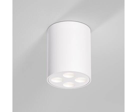 Потолочный светильник Elektrostandard 25111/LED a067483