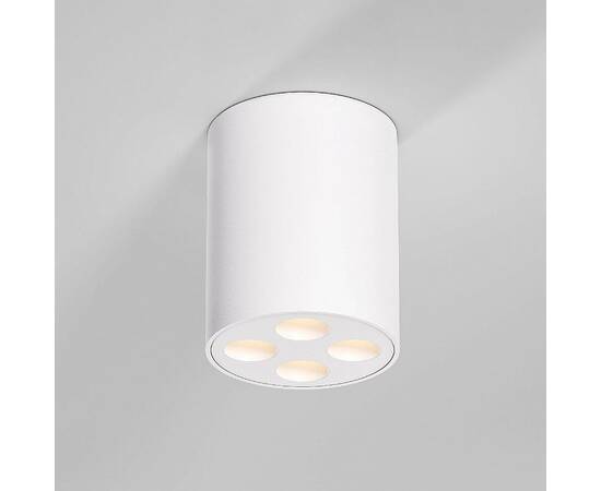 Потолочный светильник Elektrostandard 25111/LED a067482