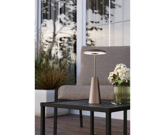 Уличный светодиодный светильник Eglo Piccola 900924, изображение 2