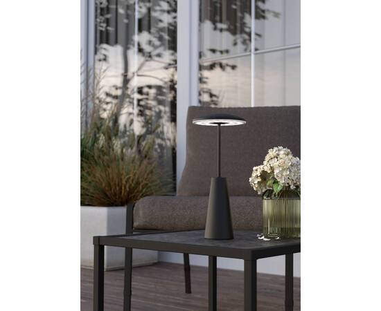 Уличный светодиодный светильник Eglo Piccola 900925, изображение 2