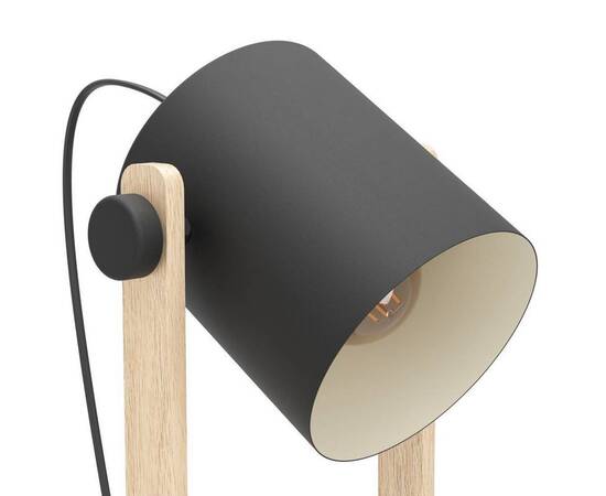 Торшер Eglo Hornwood 43521, изображение 3