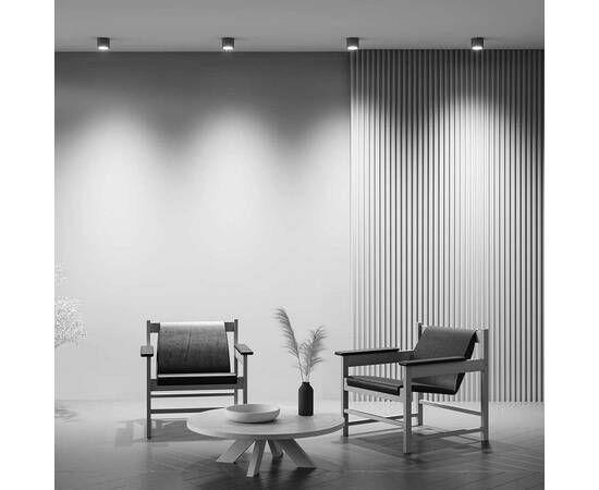 Потолочный светильник Maytoni Technical Rendo C095CL-GX53-GR, изображение 6