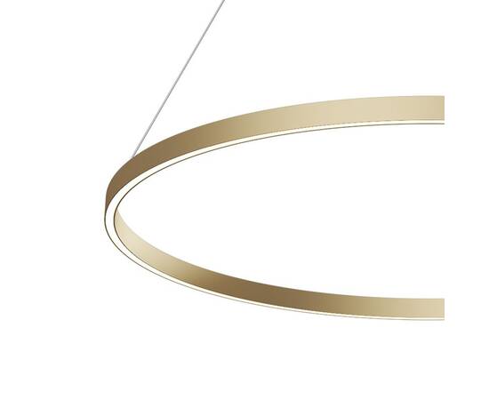 Подвесной светодиодный светильник Maytoni Rim MOD058PL-L54BSK, изображение 2