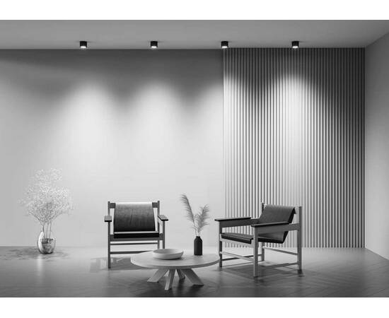 Потолочный светильник Maytoni Technical Rendo C095CL-GX53-B, изображение 4