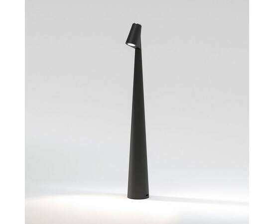 Настольная лампа Elektrostandard Elite TL70250 a068070