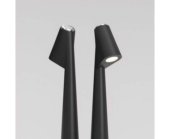 Настольная лампа Elektrostandard Elite TL70250 a068070, изображение 3