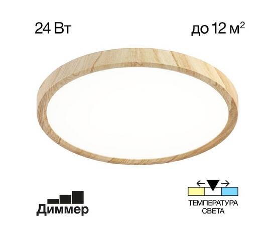 Накладной светильник Citilux CL738242V (#акция#)