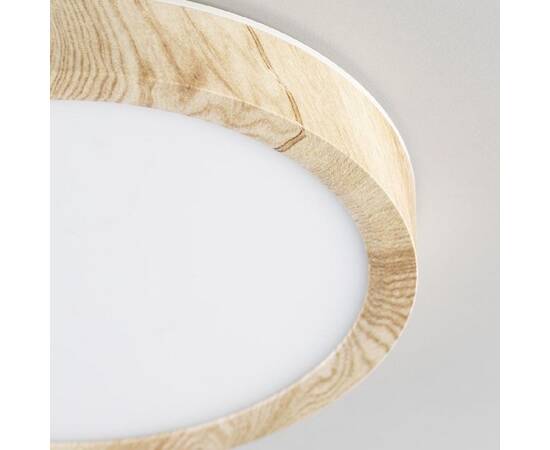 Накладной светильник Citilux CL738122N (#акция#), изображение 2