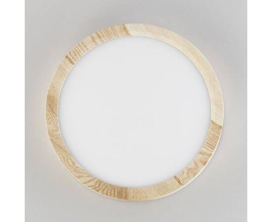 Накладной светильник Citilux CL738122N (#акция#), изображение 3