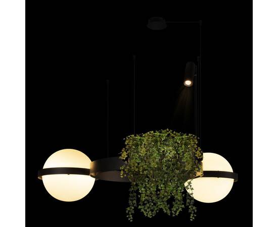 Подвесной светодиодный светильник Loft IT Jardin 10121/2, изображение 4