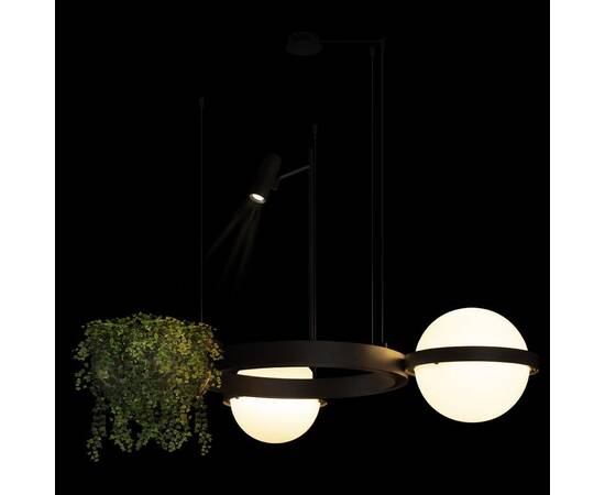 Подвесной светодиодный светильник Loft IT Jardin 10121/2, изображение 5