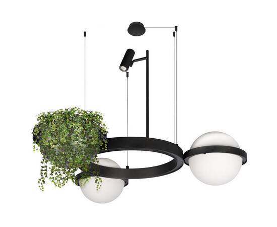 Подвесной светодиодный светильник Loft IT Jardin 10121/2, изображение 6