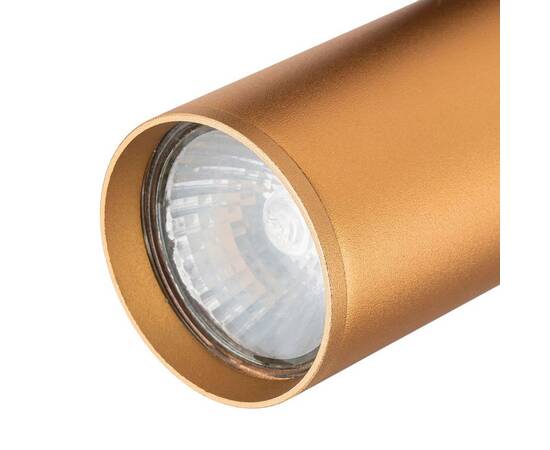 Трековый светильник Escada 20001TRA/01 BR, изображение 2